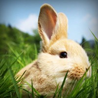 /album/la-quinta-a/photolia-a03-jpg/